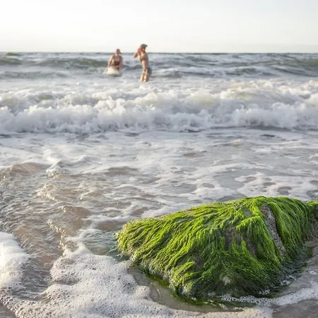 Fajnemorze - Szwedzkie Debina (Ustka)