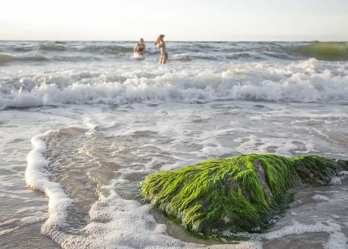 Fajnemorze - Szwedzkie Debina (Ustka)